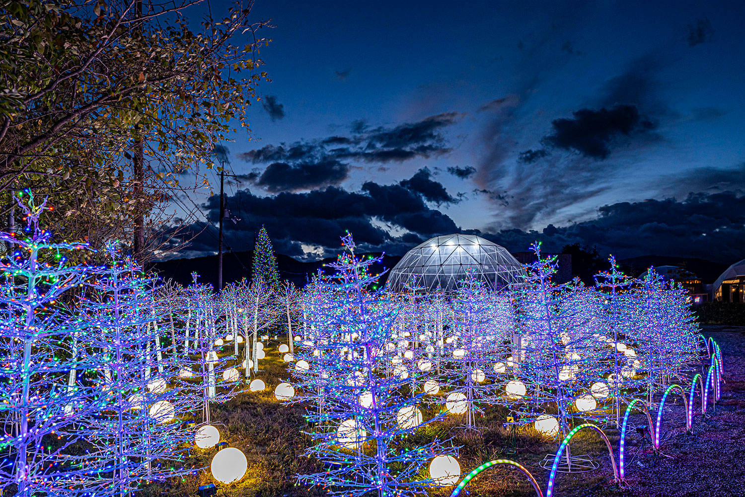 GLAMP DOME滋賀高島
